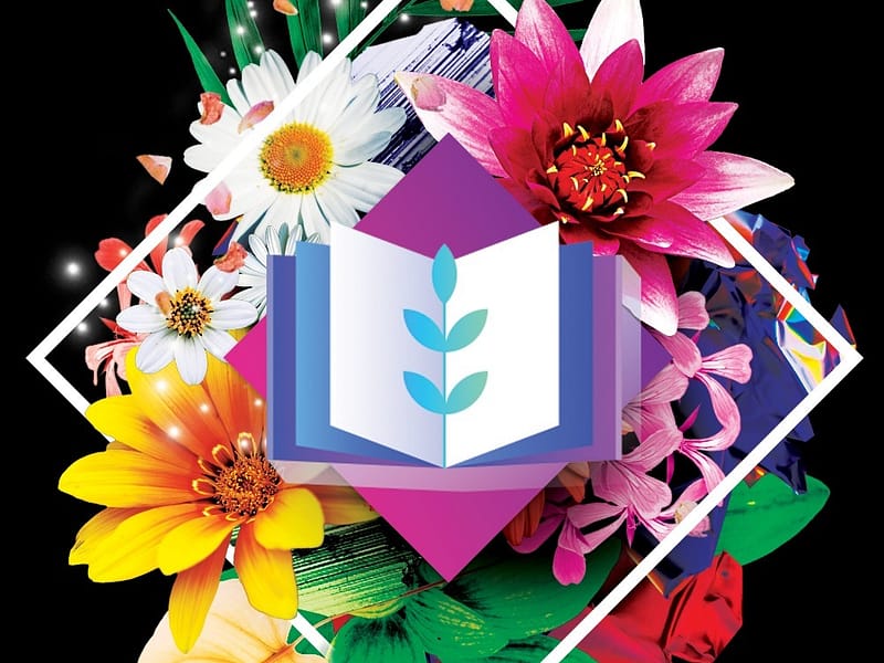 Pardner Money Stories